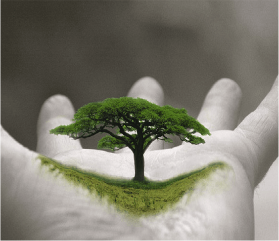 Tree hand